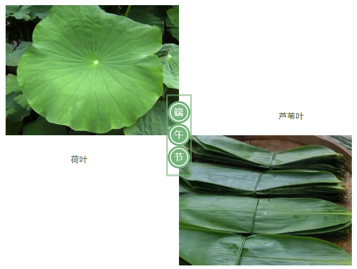 welcome购彩医纺