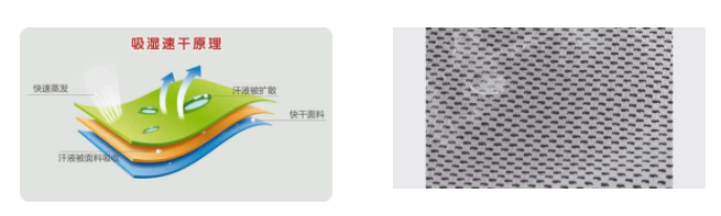 welcome购彩医用纺织