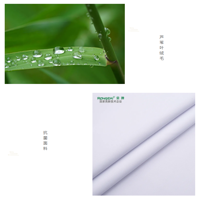 welcome购彩医纺
